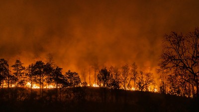 Neglected flames: Nepal’s wildfire crisis